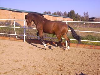 pict1448m-1.jpg