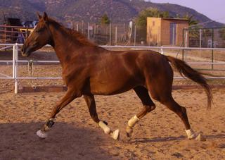 copiadepict0925-1.jpg