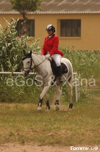 img2788x-1.jpg