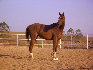 pict0919-1.jpg