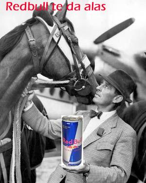 caballoraroconbull-1.jpg