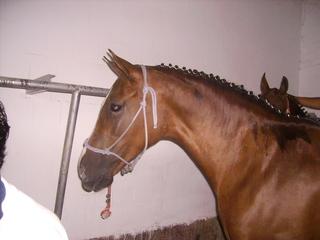 pict0098yy-1.jpg