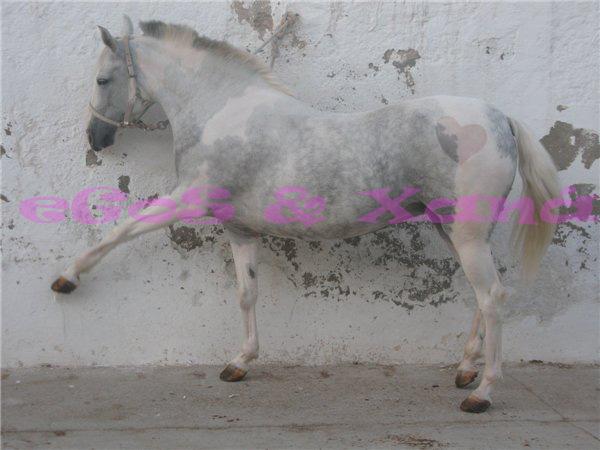 shefzpn7vjkcqfb7n75z0-1.jpg