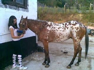 10092009001s-1.jpg