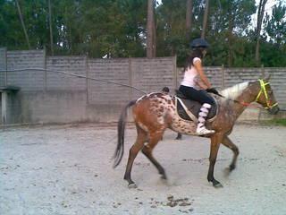 10092009005-1.jpg