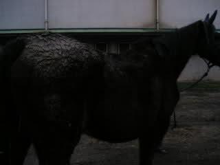 1zq62kg-1.jpg