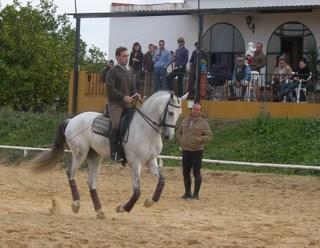 guillermo-1.jpg