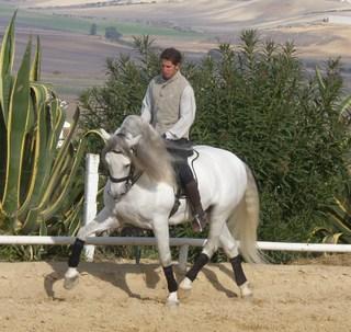 raul-1.jpg