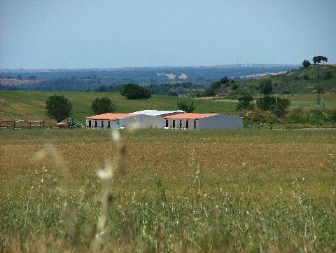 56214352JPG-1.jpg