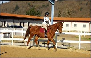 IMGP2168-1.jpg