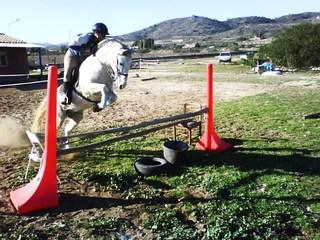 dsc01164-1.jpg