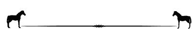 horse_divBW_md_whtgif-1.jpg