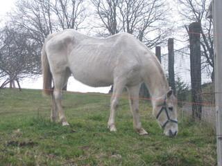 img1073d-1.jpg