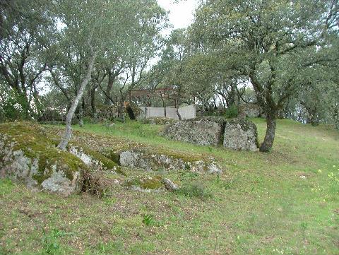 20465732JPG-1.jpg