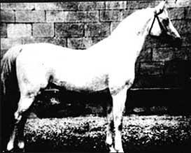 Amurath1881vi-1.jpg
