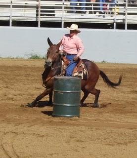 DraftHorse37-1.jpg