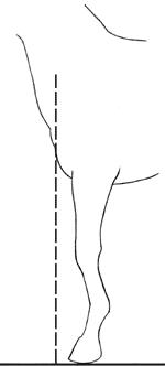 apl_perfil_egif-1.jpg