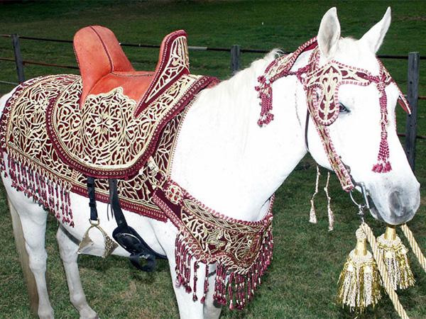 moroccan-1.jpg