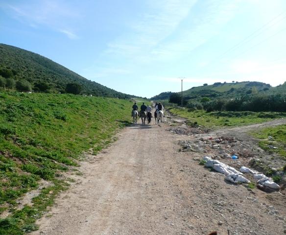 p1020123p-1.jpg