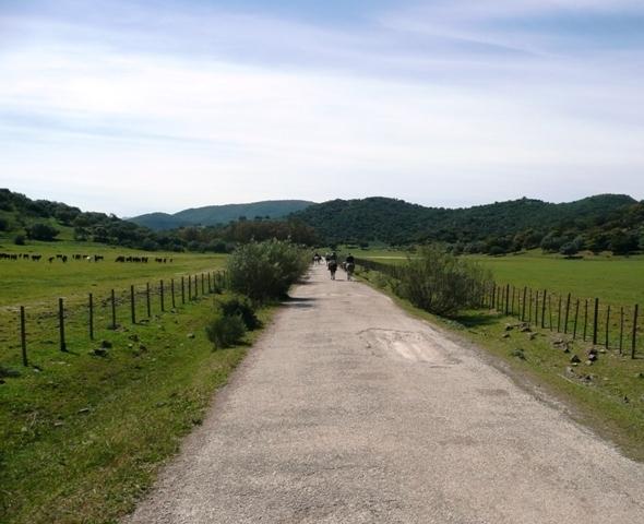 p1020139t-1.jpg
