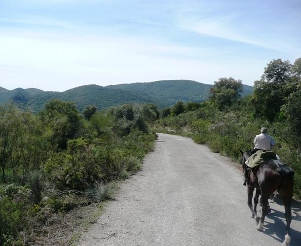 p1020147l-1.jpg