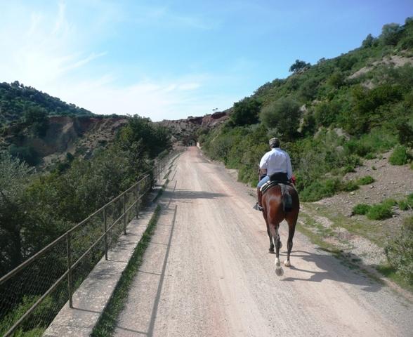 p1020184m-1.jpg