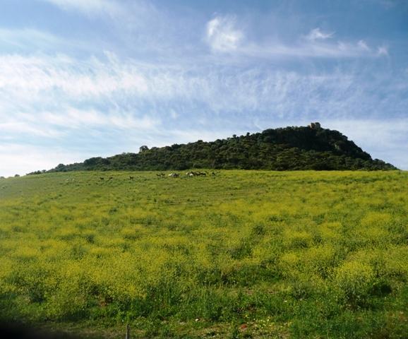 p1020235t-1.jpg