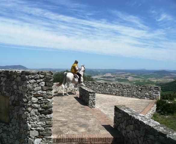 p1020244-1.jpg