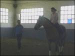 p1030303th-1.jpg