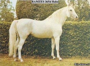 ramzes-1.jpg