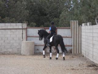 rimg0011n-1.jpg