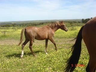 042010126-1.jpg