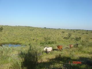 042010143-1.jpg