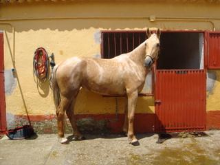 dsc00653n-1.jpg