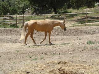 dsc00674y-1.jpg