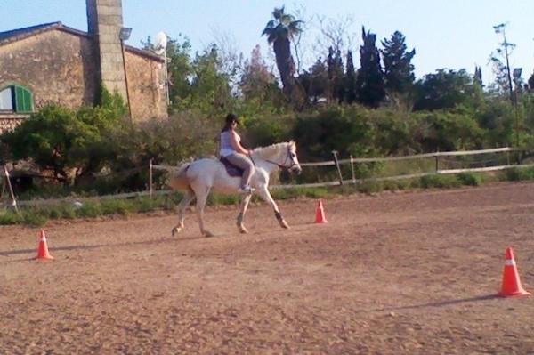 p100519035trt-1.jpg
