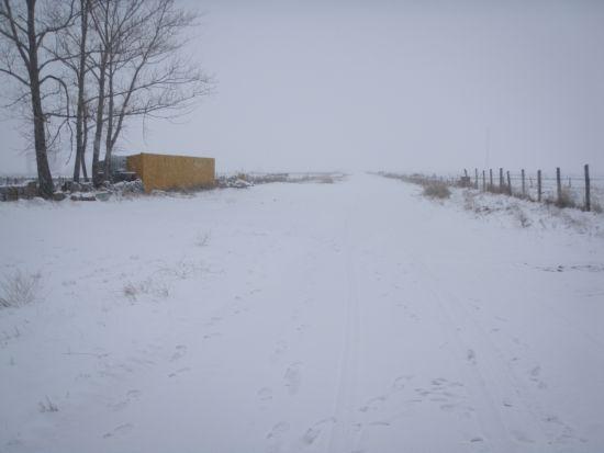 p1010126b-1.jpg