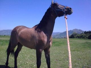 22052010017-1.jpg