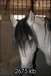 dsc0778th-1.jpg