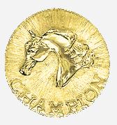 medallaoro-1.jpg