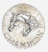 medallaplata-1.jpg