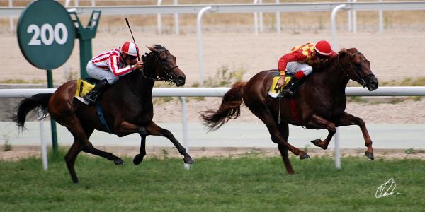 remontada6myrevenge-1.jpg