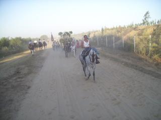 rocio20101102-1.jpg