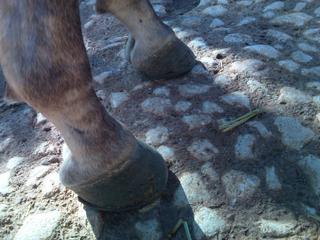 img125c-1.jpg