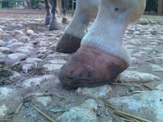 img143-1.jpg