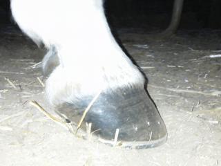 img164t-1.jpg
