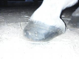 img165b-1.jpg