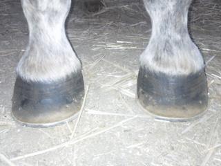img179k-1.jpg