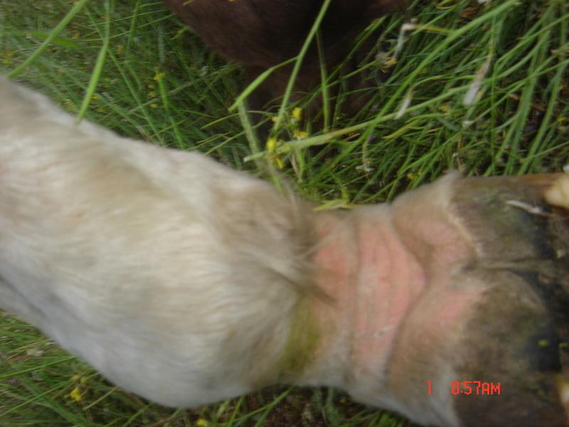 042010013-1.jpg