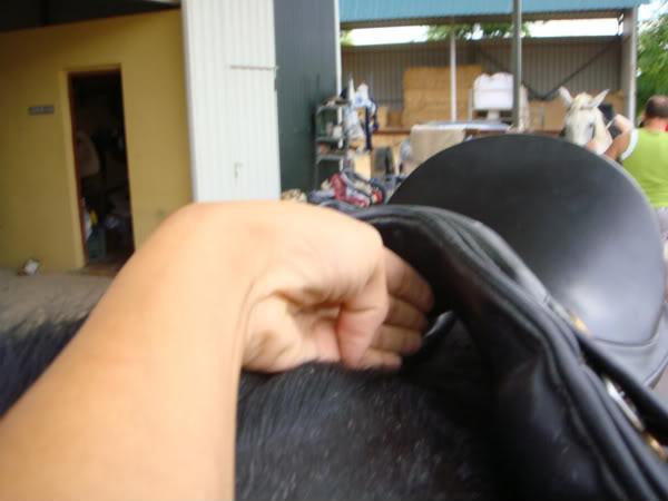 DSC01031-1.jpg